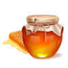 Honey icon